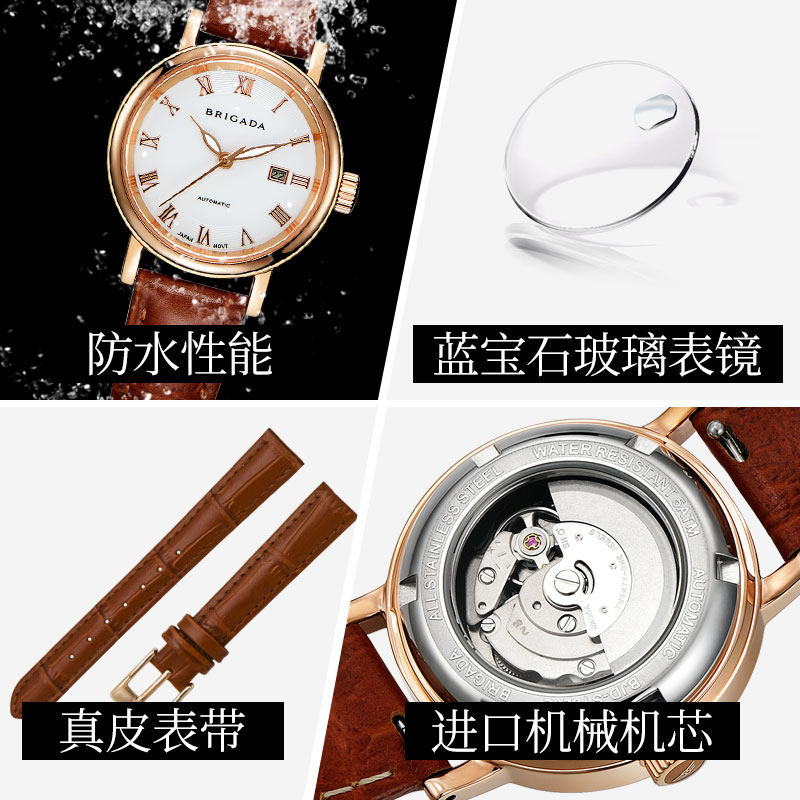 宝茄达2020新款女士小防水机械表 brigada国产腕表