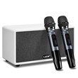 Lucky Smart TV Wireless Microphone Teaching Audio