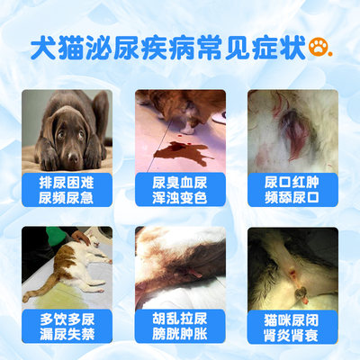 优曼宠物利尿通猫狗尿频尿血尿结石猫尿路感染消炎猫咪泌尿系统药 虎窝淘