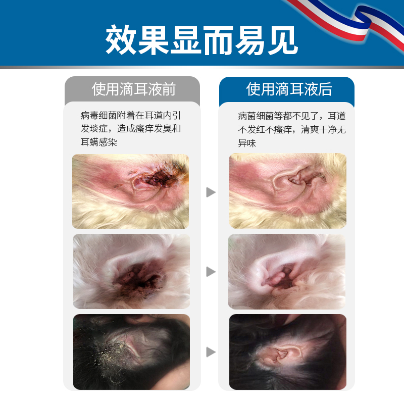 宠物滴耳液猫咪耳朵清洁专用洁耳液清洗液除耳螨狗狗用猫用洗耳液-图1