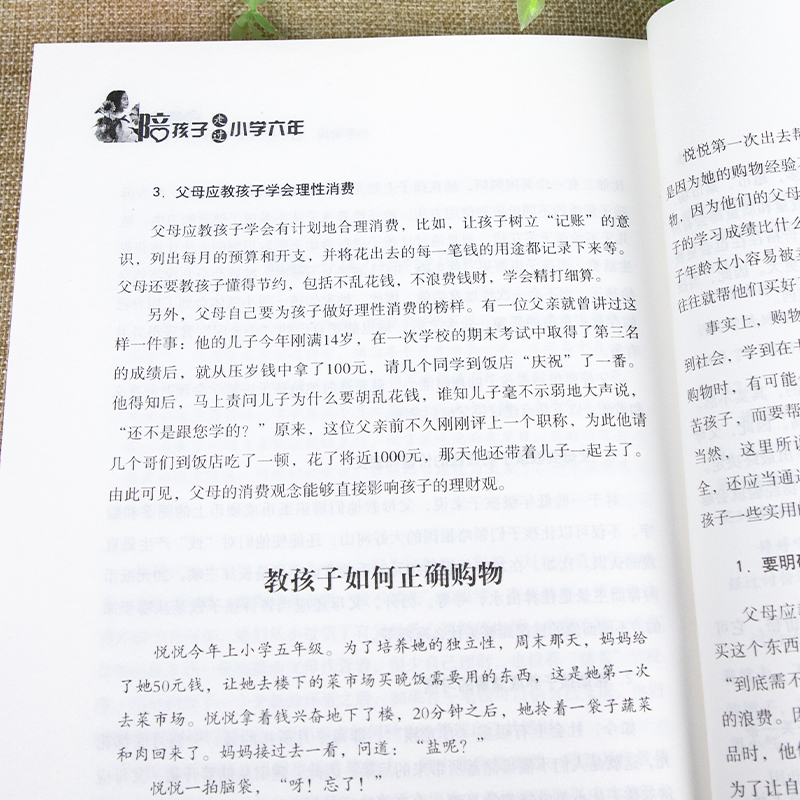 陪孩子走过小学六年正版樊推登荐 家庭教育类育儿书籍 怎么去读懂孩子的心 一起陪孩子走过关键期引导孩子心理学儿童青少年6年的书