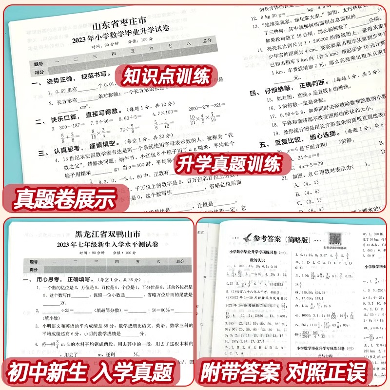 小升初真题冲刺卷2024人教版语文数学英语六年级下册总复习必刷题专项训练小学毕业升学模拟资料试卷分班测试卷全套名校冲刺练习册 - 图3