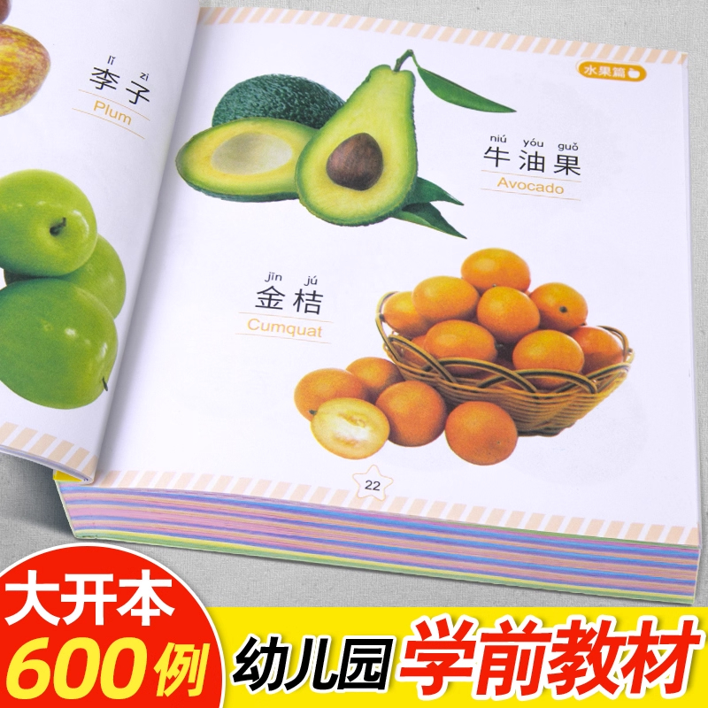 认物大全儿童早教启蒙书儿童绘本婴幼儿启蒙认知早教书0到3岁2岁宝宝益智书籍一岁半宝宝看的书图书书本识字卡片两三岁看图识物 - 图0