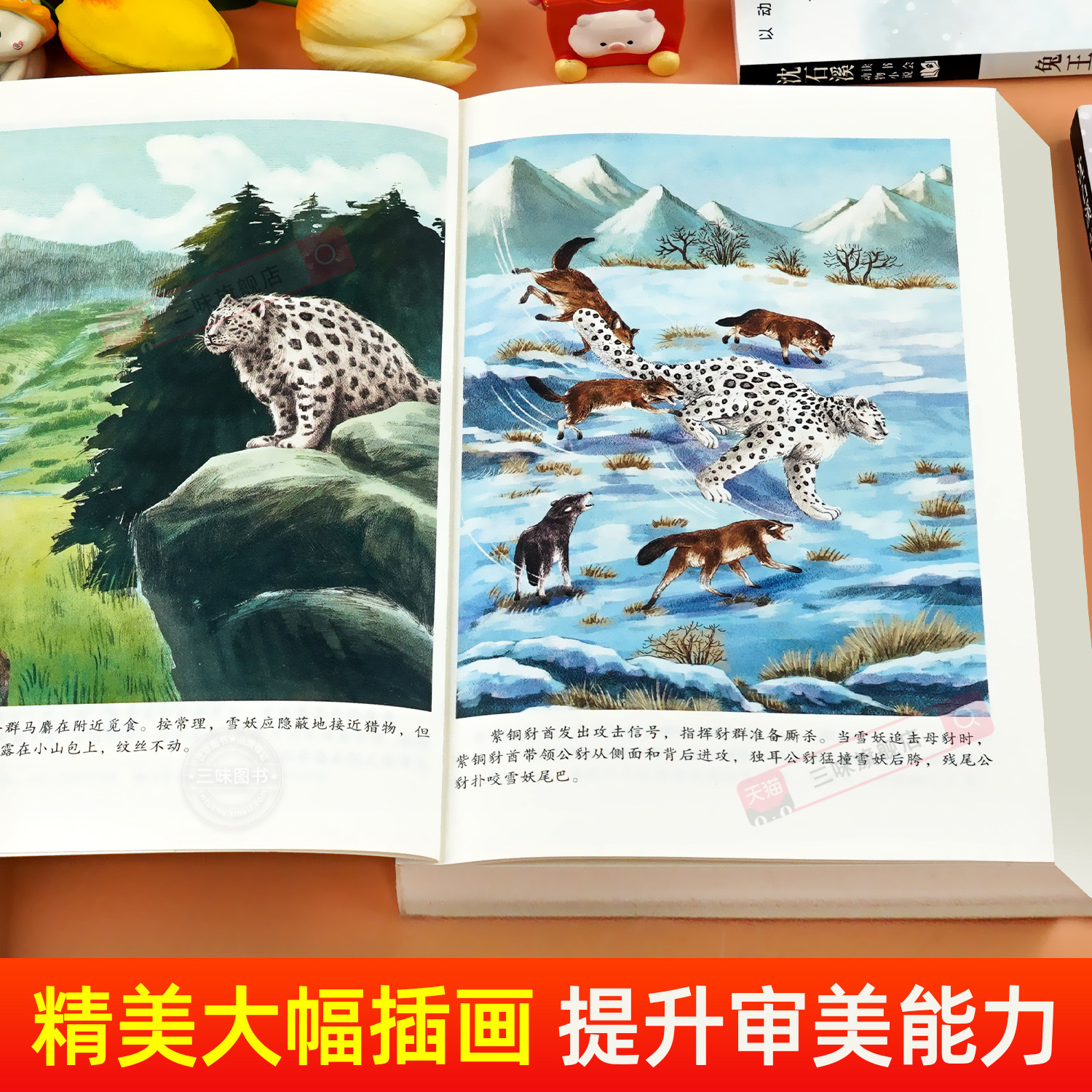 沈石溪动物小说全集5册正版 三年级四五六年级课外阅读书籍儿童读物适合小学8-12岁岁看读的小学生课外阅读书籍必读狼王梦漫画本,淘宝优惠券,粉丝福利购,淘宝优惠卷