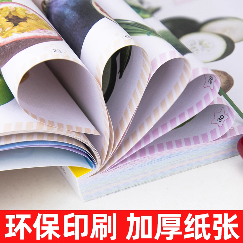 认物大全儿童早教启蒙书儿童绘本婴幼儿启蒙认知早教书0到3岁2岁宝宝益智书籍一岁半宝宝看的书图书书本识字卡片两三岁看图识物 - 图1