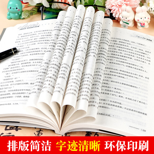 悲惨世界 原著正版 大仲马著 名家名译世界文学名著书籍 经典外国小说 初高中学生课外阅读小说原版读物小学生课外书 - 图3