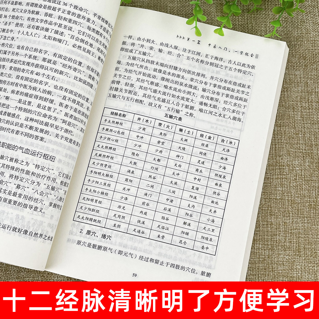 官方正版 中医自学百日通 中医入门书籍 医药大全中医诊断学中药书基础理论自学入门基础知识医药大全倪海厦书籍中医养生书籍大全 - 图1