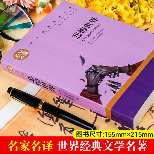 悲惨世界 原著正版 大仲马著 名家名译世界文学名著书籍 经典外国小说 初高中学生课外阅读小说原版读物小学生课外书 - 图0
