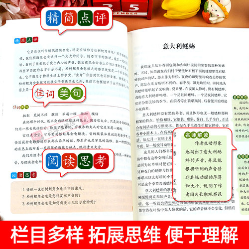 昆虫记正版原著完整版法布尔三年级必读正版的课外书3下推荐小学生课外阅读书籍四年级上册下册必读吉林出版社教育少儿美绘版人民4 - 图2