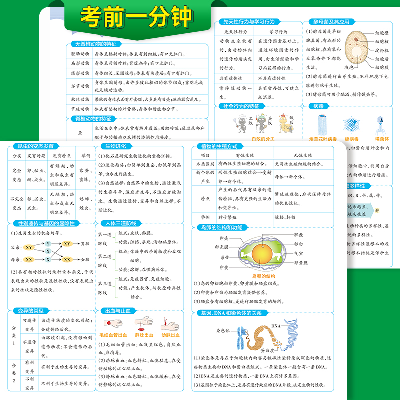 2024版初中学霸速记八年级生物RJ人教版初二上册下册生物知识点手册pass绿卡图书全彩漫画解读点拨备考复习资料考试提分速查速记