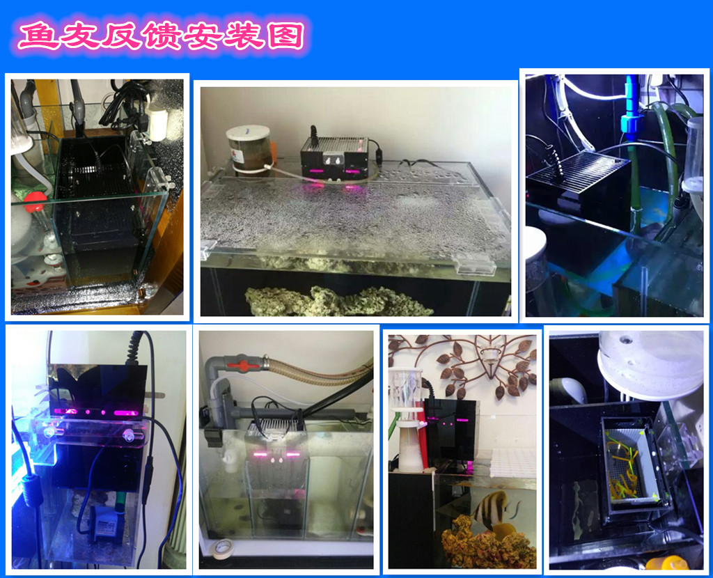 uas藻盒内置式UAS超级ATS鱼缸过滤器藻盒除no3po4营养硝酸盐控制 - 图3