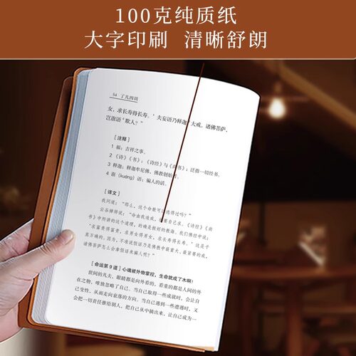 【善品堂藏书】了凡四训 羊皮卷珍藏版 中国传统国学文化家教宝典人生成长启迪之书认清命运真相觉悟人生真谛儒释道经典修身书 - 图3