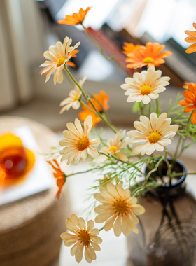 掬涵仿真花波斯菊格桑花假花