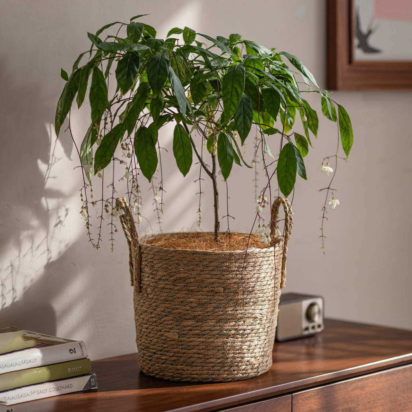 筐子草编藤编编织篮子花篮竹编花盆套绿植草编筐植物装饰套藤编筐,淘宝优惠券,粉丝福利购,淘宝优惠卷