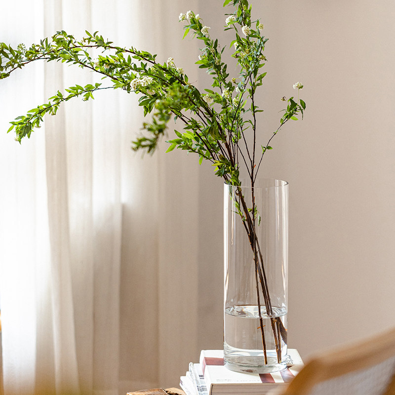 玻璃花瓶摆件客厅插花水养马醉木水培富贵竹玫瑰直筒ins风高级感,淘宝优惠券,粉丝福利购,淘宝优惠卷