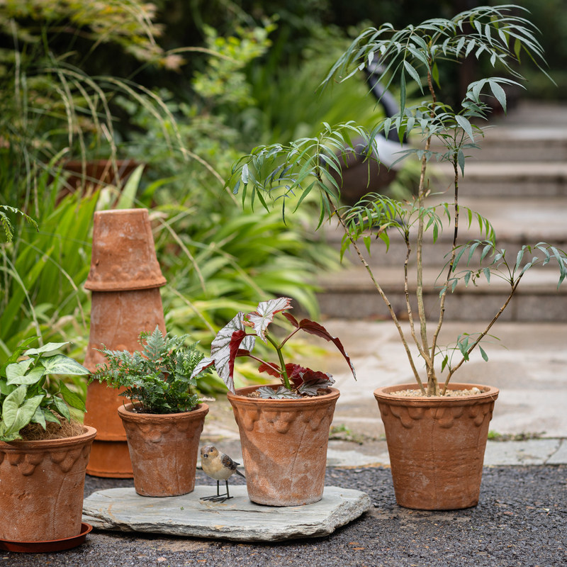 掬涵复古红陶花盆浮雕粗陶透气吸水多肉绿植种植花器庭院阳台装饰,淘宝优惠券,粉丝福利购,淘宝优惠卷