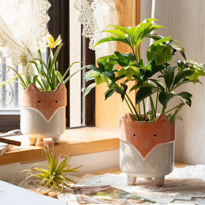 動物多肉植物花盆花器 新人首單立減十元 21年8月 淘寶海外