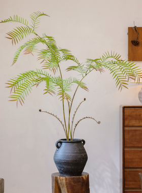 仿生植物观音蕨卧室客厅落地摆件
