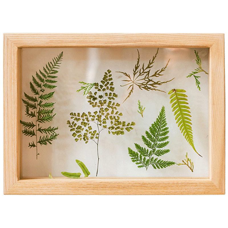 掬涵实木创意植物标本相框立体照片墙现代简约画框摆台免打孔INS - 图0