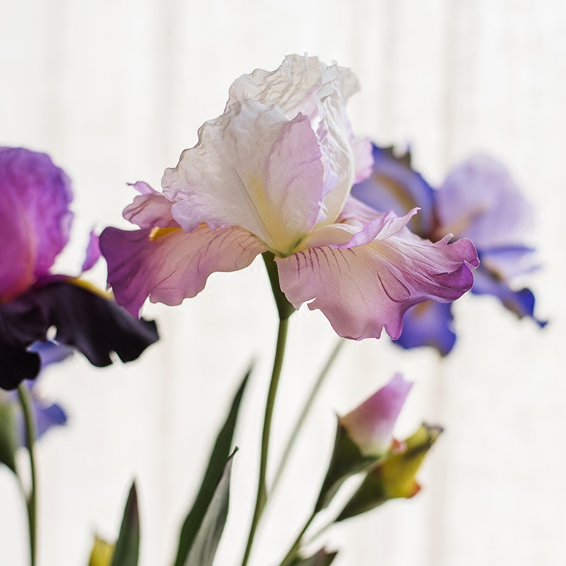 掬涵仿真鸢尾花装饰假花花艺插花客厅摆设干花法式摆件花束仿生花