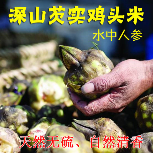 2025年新鲜芡实干货500g鸡头米果欠实级特茨实中药材正药用品 - 图2