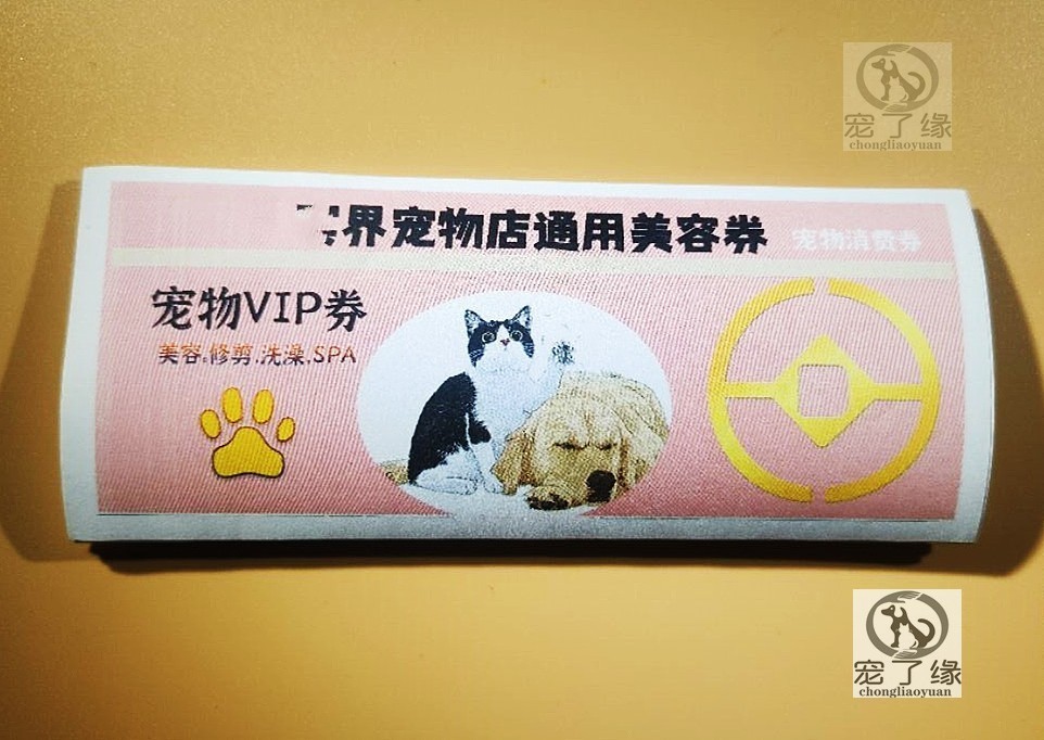 宠物猫狗火化去世殡葬祭祀丧葬祭奠骨灰盒纸扎猫狗用券 - 图0