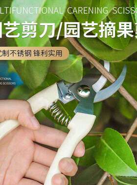 花艺师插花专用剪刀修枝剪园艺花枝花卉修剪树枝盆景鲜花剪子工具