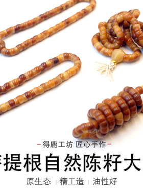 菩提根焦糖渐变大肠