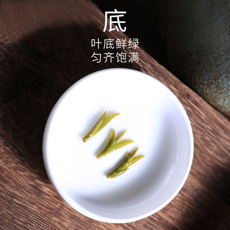 雀舌绿茶头采嫩芽2024新茶明前高山云雾毛尖翠芽茶叶罐装250g - 图2