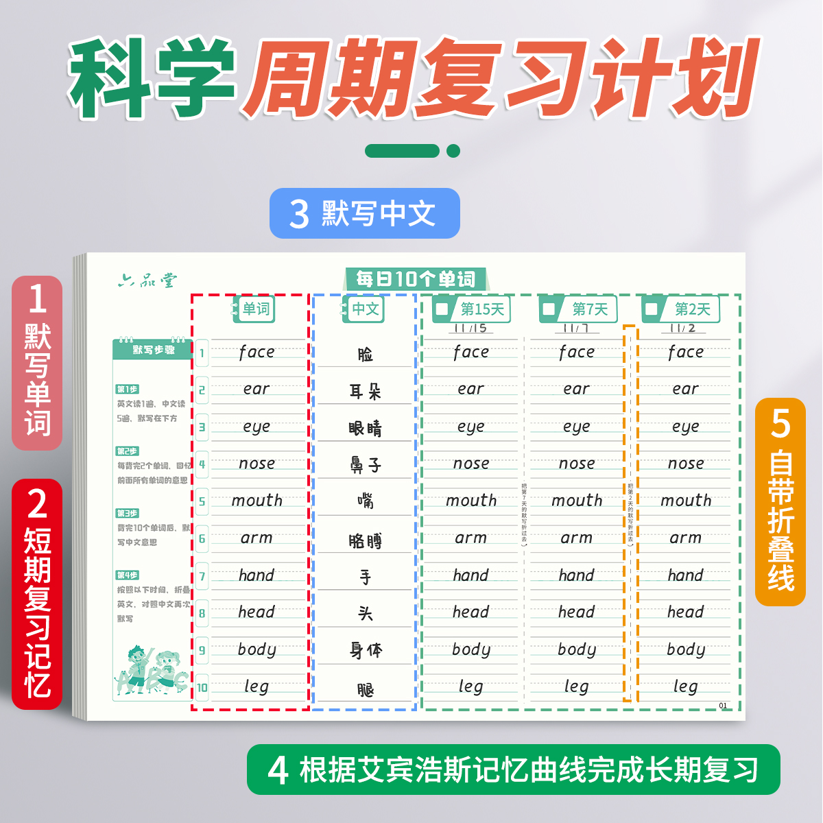 英语单词本速记本记忆本记背神器默写本艾宾浩斯遗忘曲线背单词本纸本子每日10个单词十个小学生初中生高中生-图0