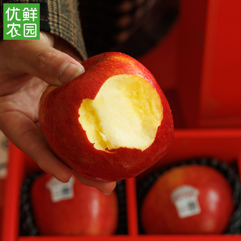 当季美国进口爱妃苹果envy9粒高级新鲜大果精品礼盒装圣诞水果,淘宝优惠券,粉丝福利购,淘宝优惠卷