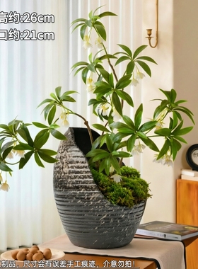 纯手工蛋壳缺口月牙花盆