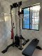 REP frame attachment single side wall flying bird