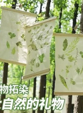 植物拓印布袋手绘涂鸦diy
