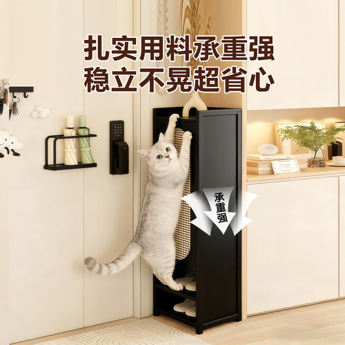 折叠鞋柜小窄门口免安装鞋子收纳柜家用室内一拉就用带门防尘鞋架 - 图2