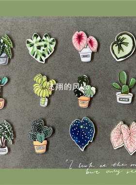 龟背竹仙人掌秋海棠冰箱贴云养植物磁贴绿植送孩子朋友伴手礼