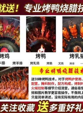 庆源烤鸭炉商用燃气木炭烤鸭炉烧烤炉烤鸡烤鹅烧鸭炉烤羊腿羊排烤