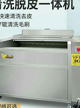 土豆清洗去皮机商用多功能毛辊清洗机快速莲藕生姜芋头红薯脱皮厂