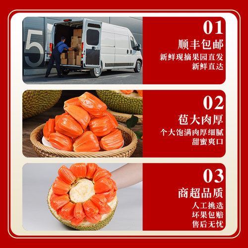 【顺丰】印尼红肉菠萝蜜新鲜水果现摘一整个香甜脆红心波罗蜜包邮 - 图2
