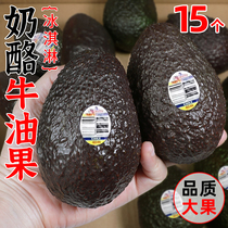 Beef Butter Fruits Fresh Fruit 15 Should Season Baby Covets Cooked Ready-to-eat Avocado Large Fruit Pregnant Woman Whole Boxes