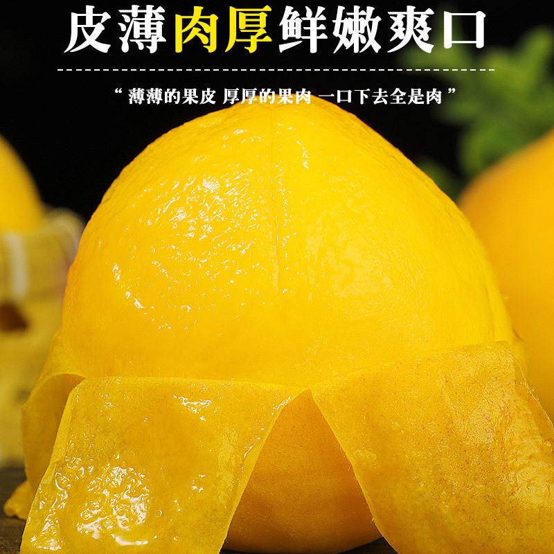 正宗砀山黄桃新鲜大桃当季现摘脆软甜蜜桃黄肉毛桃子时令水果整箱