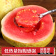 Grab! Guangxi Ruannuo Red Heart Guava 10Jin Jin is equal to 0.5kg