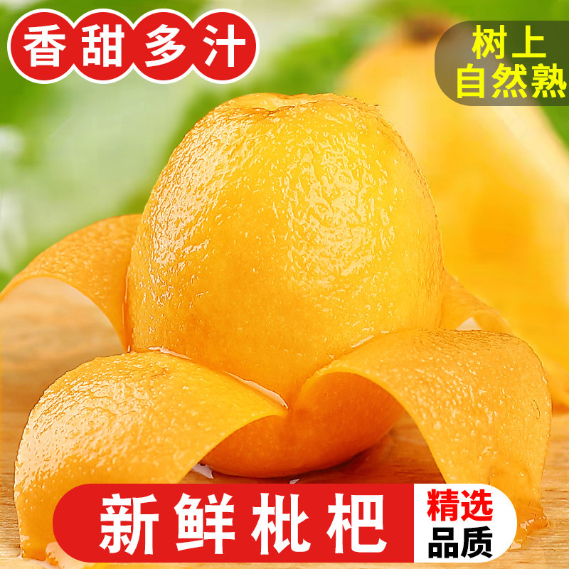 新鲜枇杷5斤当季现摘农家甜枇杷水果整箱大琵琶果攀枝花米易包邮