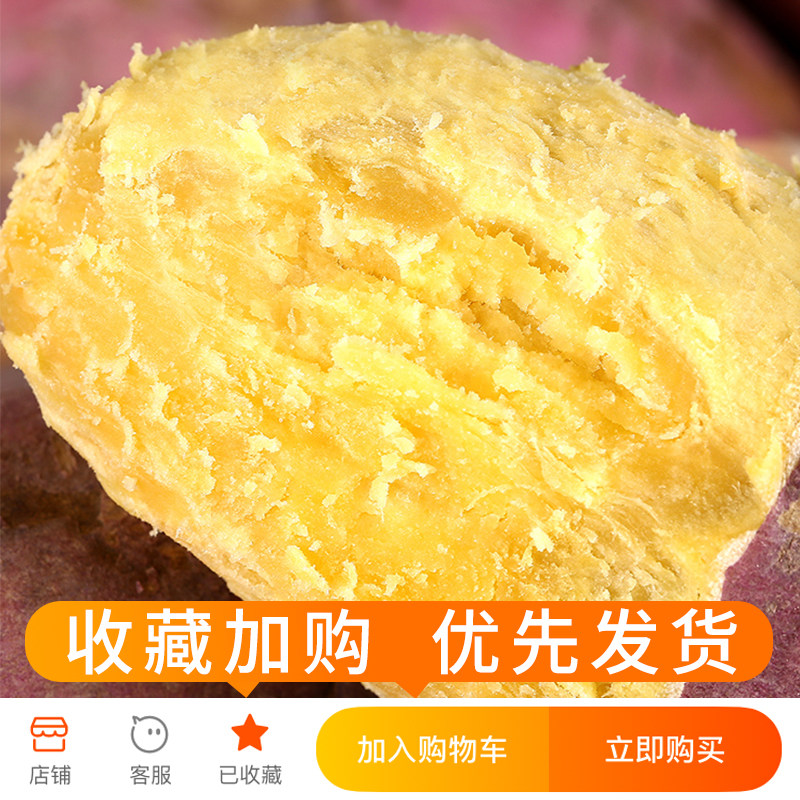 新鲜10斤装农家自种地瓜小香薯板栗 探味君番薯