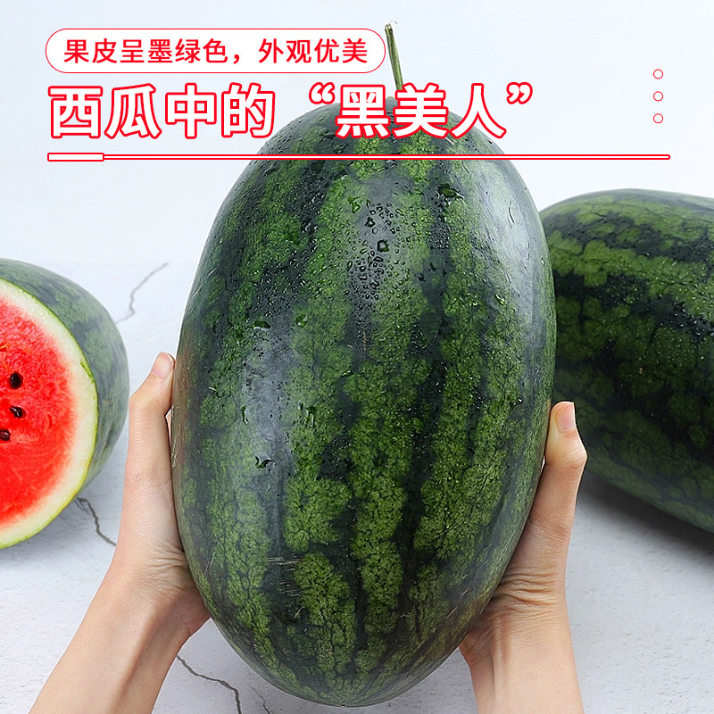 新鲜黑美人西瓜当季水果整箱时令薄皮大西瓜沙瓤甜西瓜麒麟瓜包邮,淘宝优惠券,粉丝福利购,淘宝优惠卷