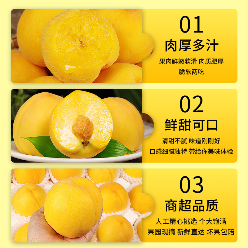 正宗砀山黄桃新鲜大桃当季现摘脆软甜蜜桃黄肉毛桃子时令水果整箱