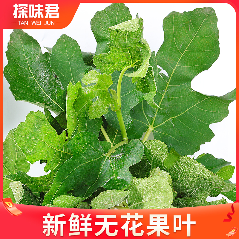 新鲜无花果叶500g现摘无花果树叶子枝茎鲜叶药用熏洗非干痔疮包邮-图0