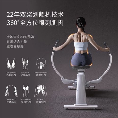 美国SUNNY双桨划船机家用健身器材室内磁阻静音减肥护膝锻炼肩颈 - 图1