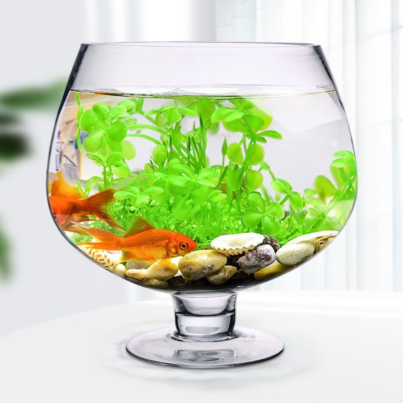 小型鱼缸加厚玻璃客厅桌面创意酒杯高脚杯金鱼乌龟缸空气造景-图3