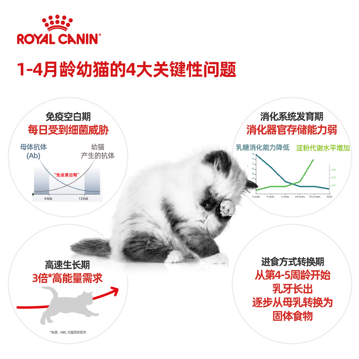 皇家猫粮bk34离乳期幼猫奶糕粮营养增肥波斯英美短布偶专用粮10kg-图1